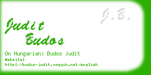 judit budos business card